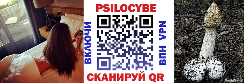 Галлюциногенные грибы прущие грибы  Камень-на-Оби 